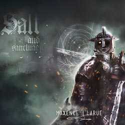 Salt and Sanctuary PC Free Download (v1.0.2.1)