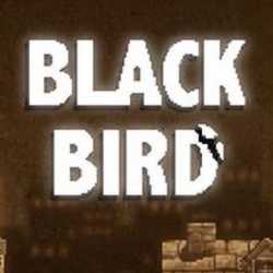 BLACK BIRD PC Game Free Download