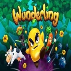 Wunderling pc game free download