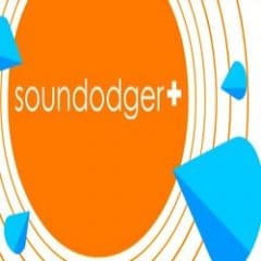 Soundodger+ pc game free download
