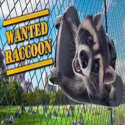 Wanted Raccoon PC Free Download (Build 17647438)