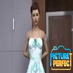 Picture Perfect PC Game Free Download