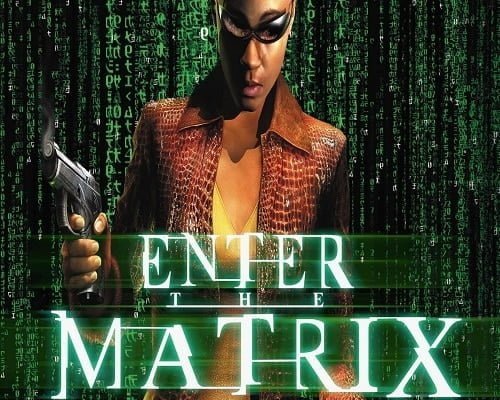 Enter the Matrix PC Game Free Download - 81