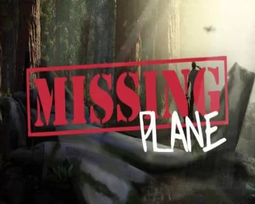 Missing Plane Survival PC Game Free Download - 80
