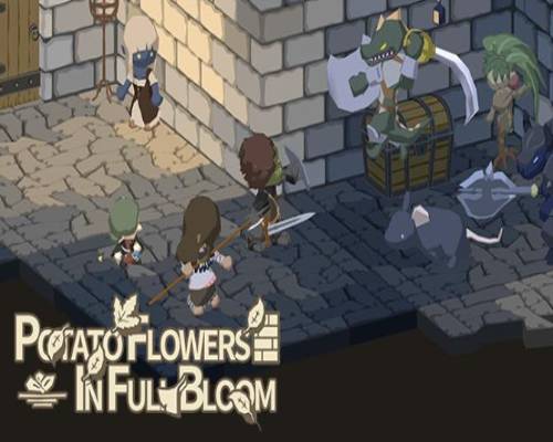 Potato Flowers in Full Bloom Free Download - 34