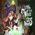 Little witch in the woods free download (v6.0.1.0)