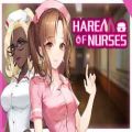 Harem of nurses pc game free download