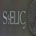 Saelig pc free download (build 21939113)