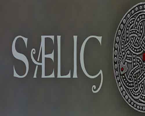 SAELIG PC Game Free Download - 41