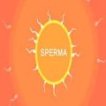 Sperma pc game free download