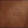 The bible pc game free download (build 14535264)