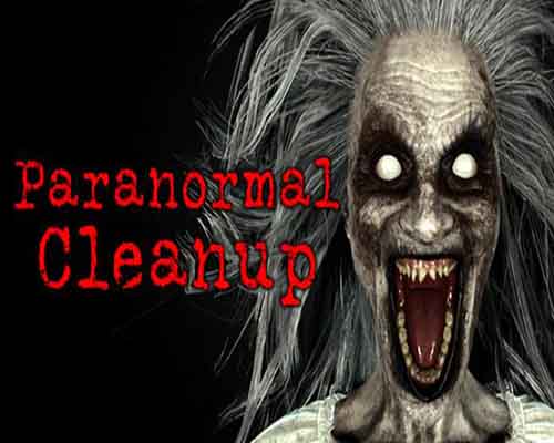Paranormal Cleanup PC Game Free Download