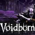 Voidborn pc free download (v1.0.3)