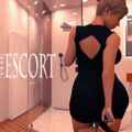 The escort special edition pc free download (v1.01)