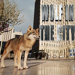 WOLF IN THE CITY PC Free Download