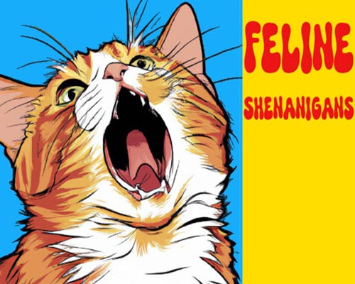 Feline Shenanigans PC Free Download