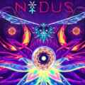 Nidus pc free download (build 13538074)