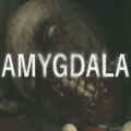 Amygdala pc free download (build 14446411)