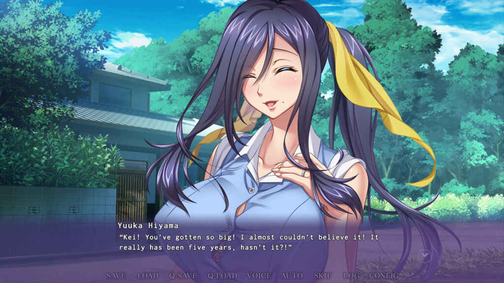An Aunt After My Own Heart PC Free Download (v1.0.2)