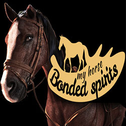 My Horse: Bonded Spirits PC Free Download