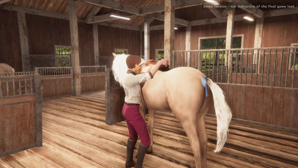 My Horse: Bonded Spirits PC Free Download