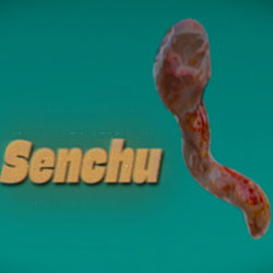 Senchu/線虫 PC Free Download