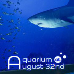 Aquarium at August 32nd PC Free Download