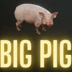 Big Pig PC Free Download (Build 16607505)