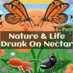 Nature And Life – Drunk On Nectar Free Download (v1.0.4.3) Nature And Life – Drunk On Nectar Free Download (v1.0.4.3)