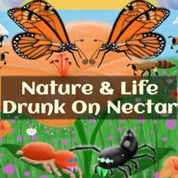 Nature And Life – Drunk On Nectar Free Download (v1.0.3.1)