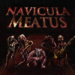 Navicula Meatus PC Free Download (Build 18297426)