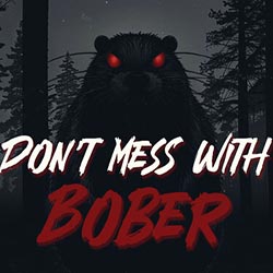 Don't mess with bober free download (tenoke)