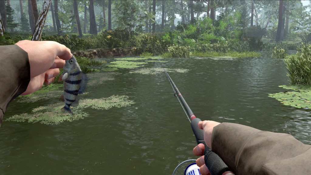 Professional fishing 2 pc free download (build 20613992) Professional fishing 2 pc free download (build 20613992)