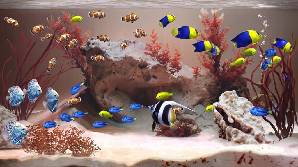 Zen aquarium pc free download (final) - 2