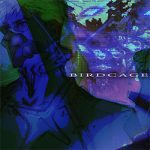BIRDCAGE PC Free Download (Final) BIRDCAGE PC Free Download (Final)