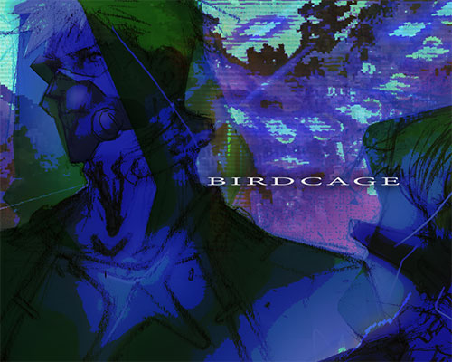Birdcage pc free download (final) Birdcage pc free download (final)