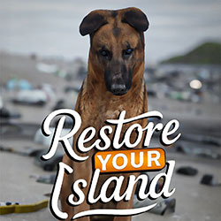 Restore Your Island PC Free Download (Build 22701979)