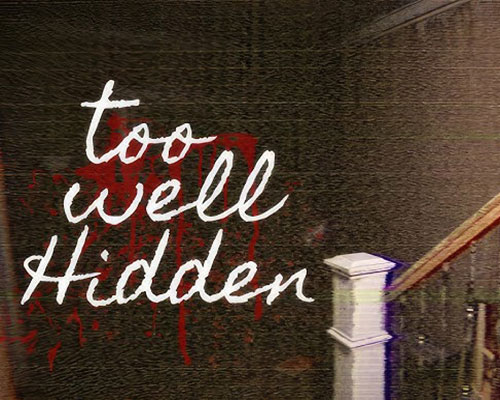 Too well hidden pc free download (goldberg)