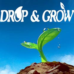 Drop and Grow PC Free Download (Final)