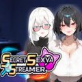 Secret sexy streamer pc free download (final)