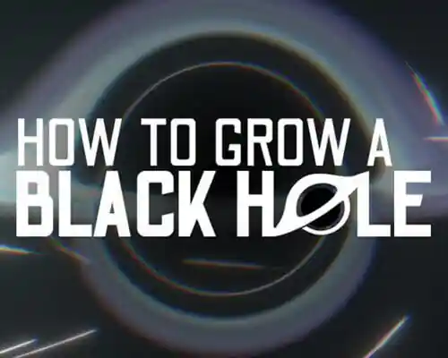 How to grow a black hole pc (final)