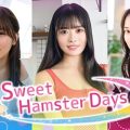 Sweet Hamster Days PC (Final)
