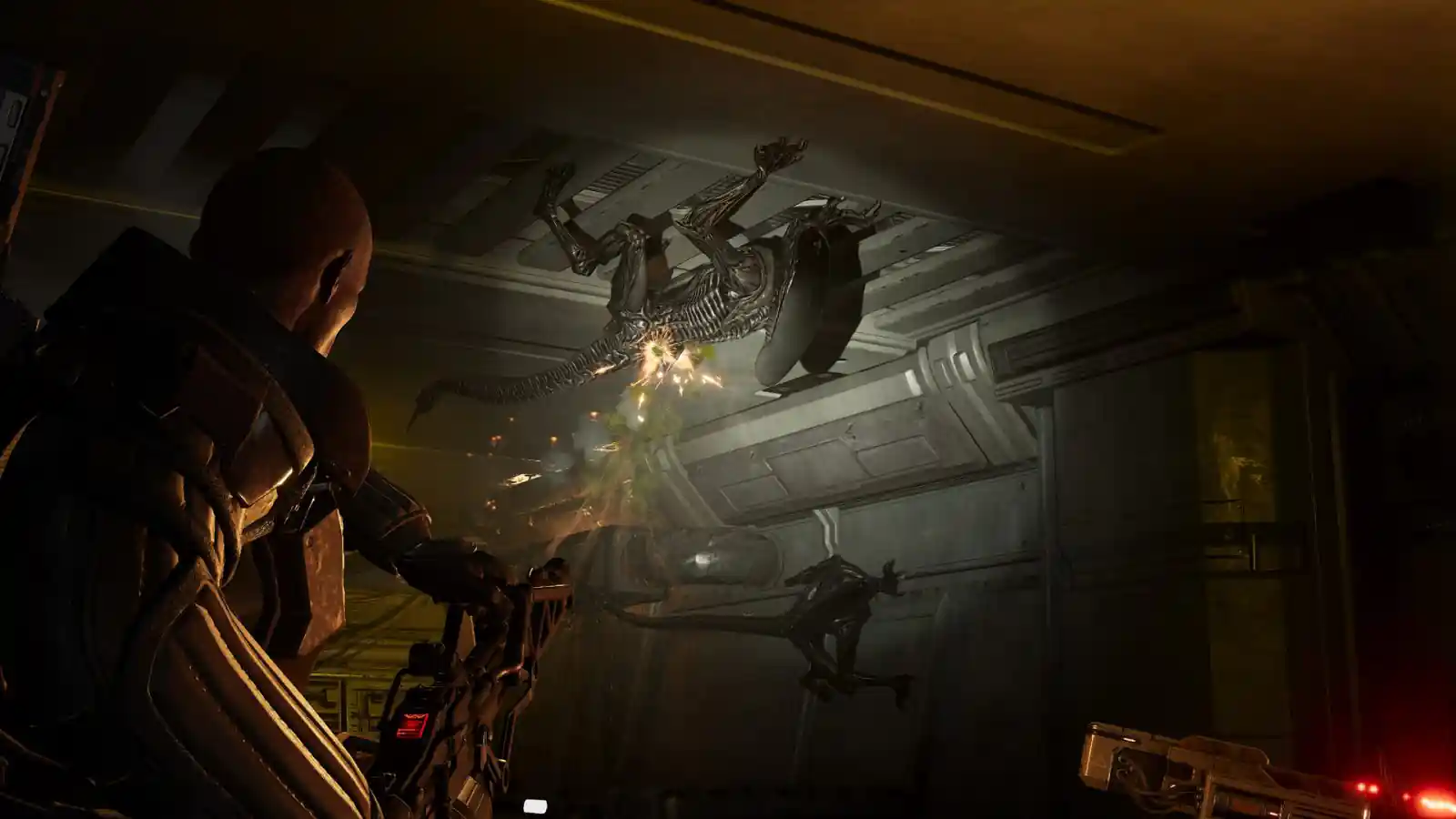 Aliens: Fireteam Elite 2 PC (1.0.0.118626+DLCs)