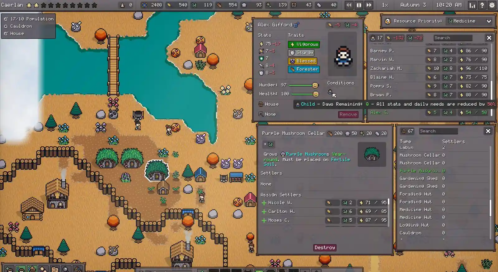 Settler's Domain PC (Final version)