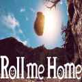Roll me home pc free download