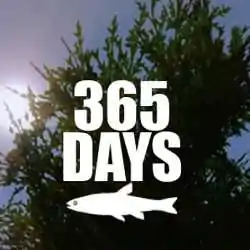 365 Days PC Game Free Download