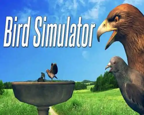 Bird simulator pc game free download Bird simulator pc game free download