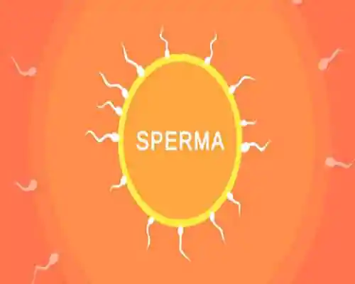 Sperma pc game free download - 1