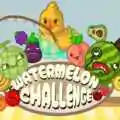 Watermelon challenge free download (build 12755410)