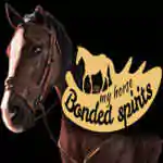 My Horse: Bonded Spirits PC Free Download